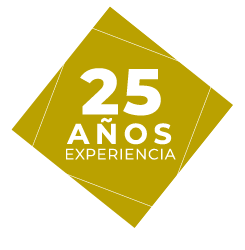 25-años-de-experiencia-grupo-excelencia-inmobiliaria